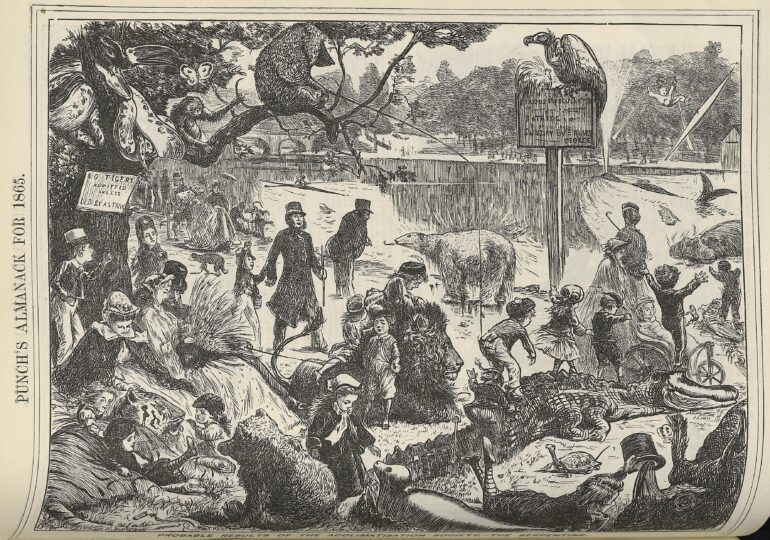 Acclimatisation Society – 1865
