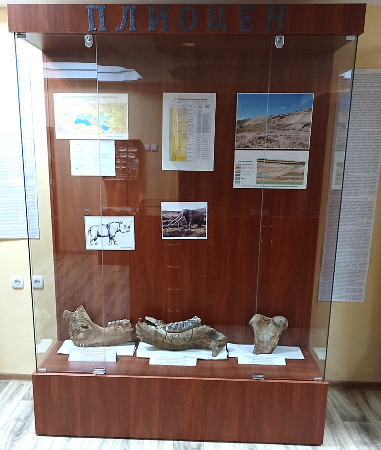 Museum of Pridnestrovie