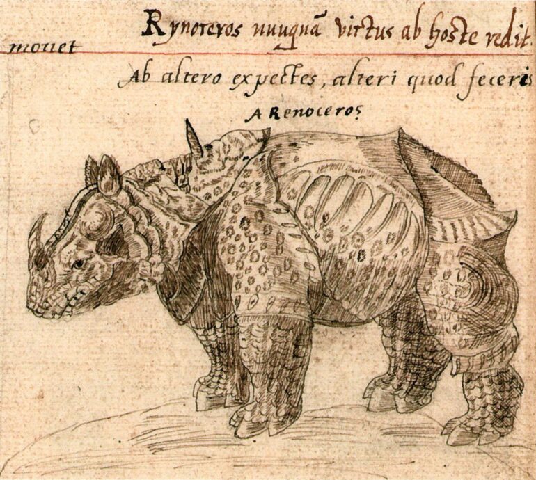 Burch: Rhinoceros nunquam vurtus ab hoste redit