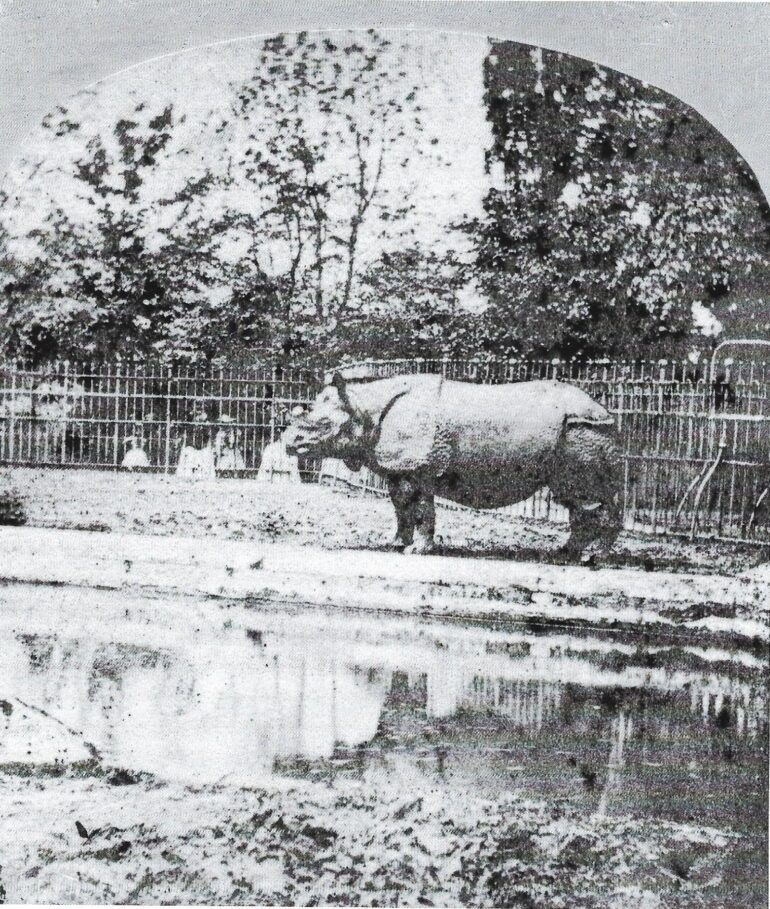 London Zoo 1856: earliest photograph