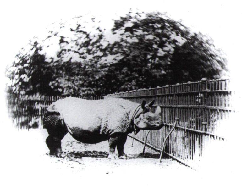 F.Haes, 1864: London Zoo