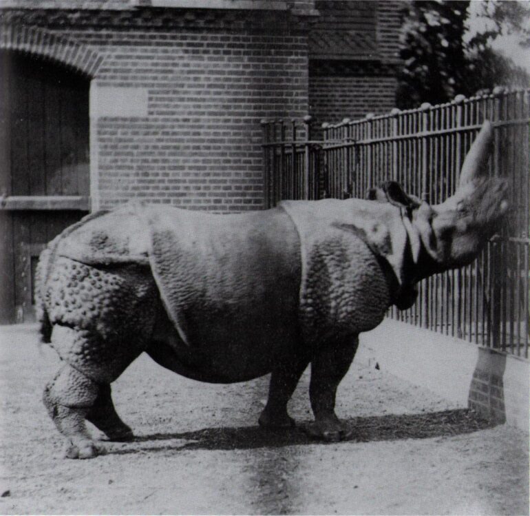 F.York, 1870: London Zoo