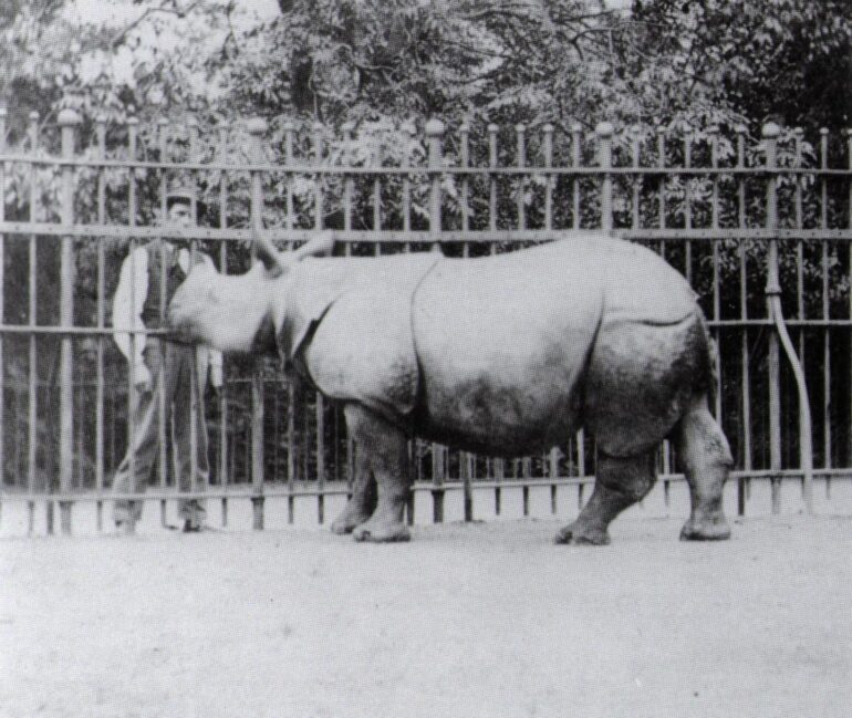 F.Haes, 1865: Jim in London Zoo