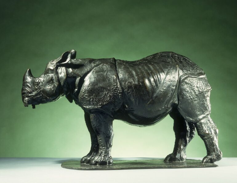 Bugatti young rhino