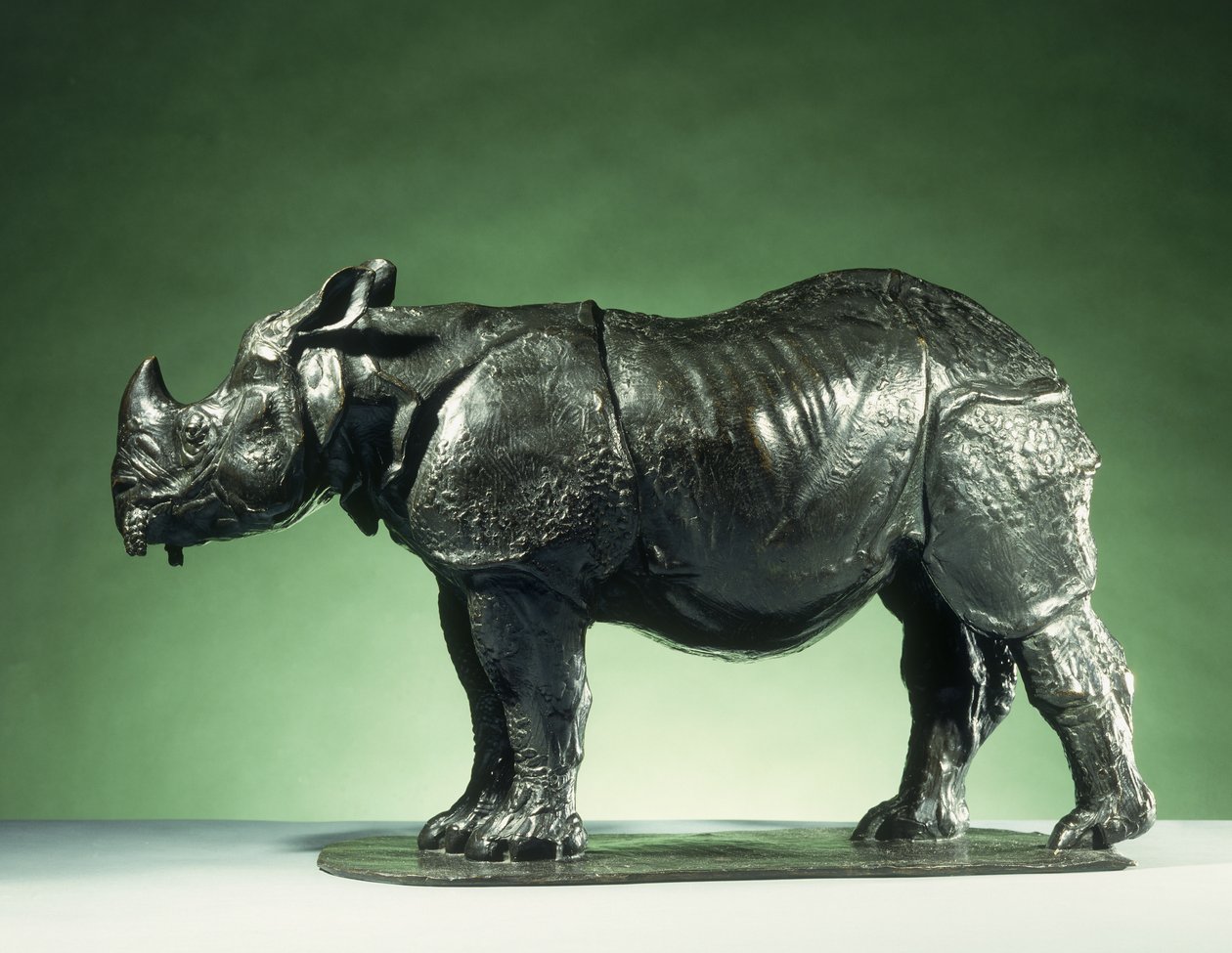 Bugatti young rhino
