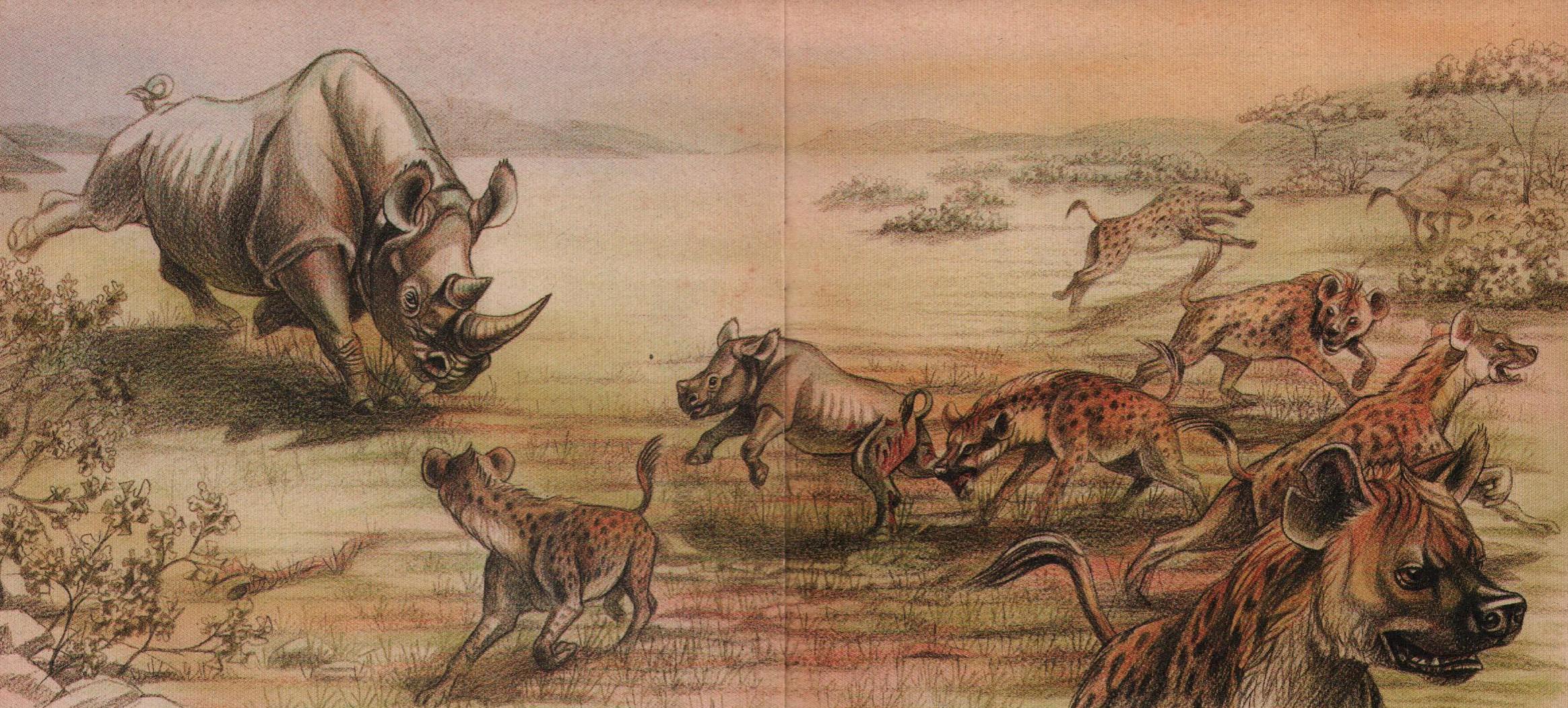Hyena attack