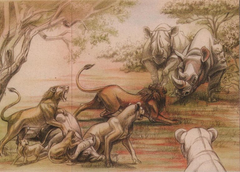 Lion encounter