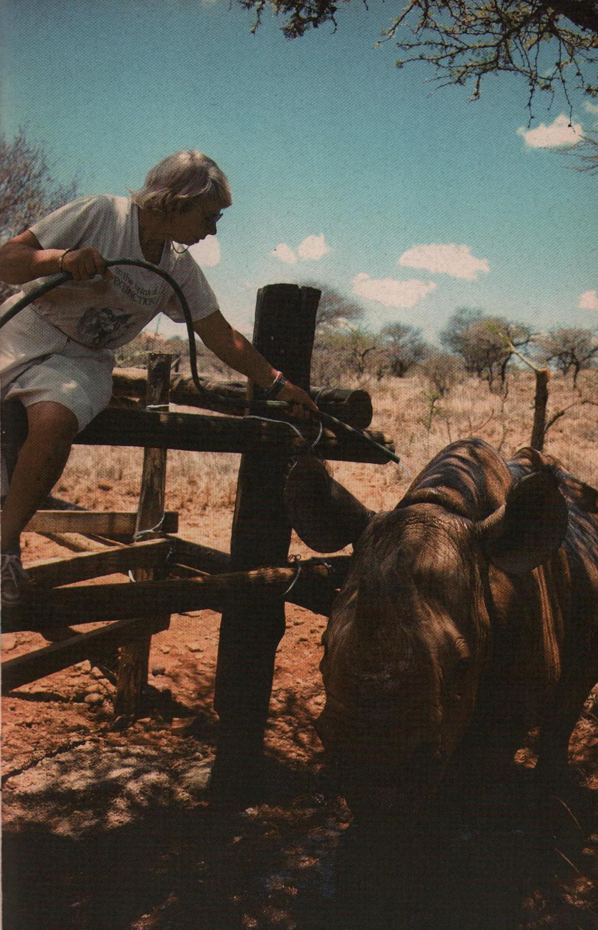 Anna Merz in Lewa