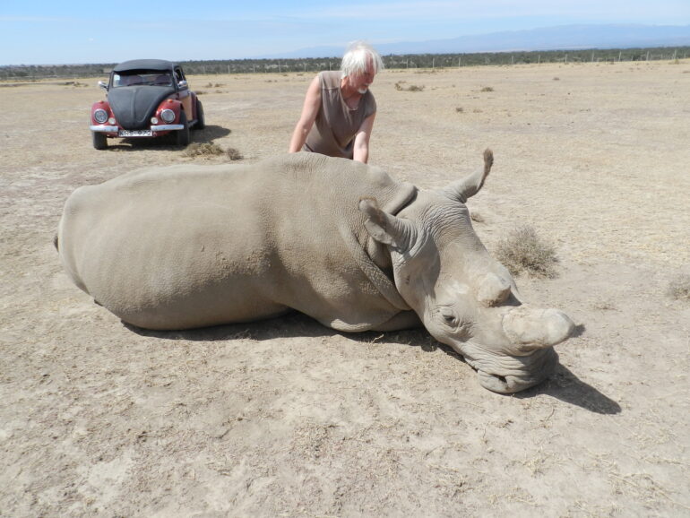 Najin 2015 in Ol Pejeta